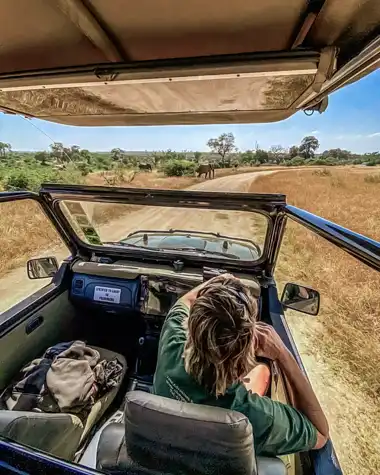 Muize Safaris