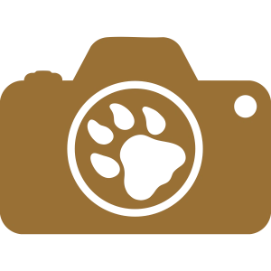 Placeholder Picture